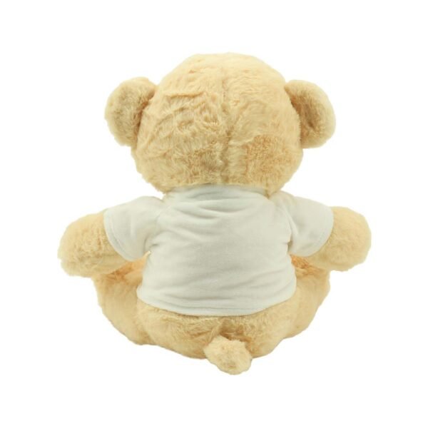 Bear-y Creative Teddy