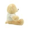 Bear-y Creative Teddy